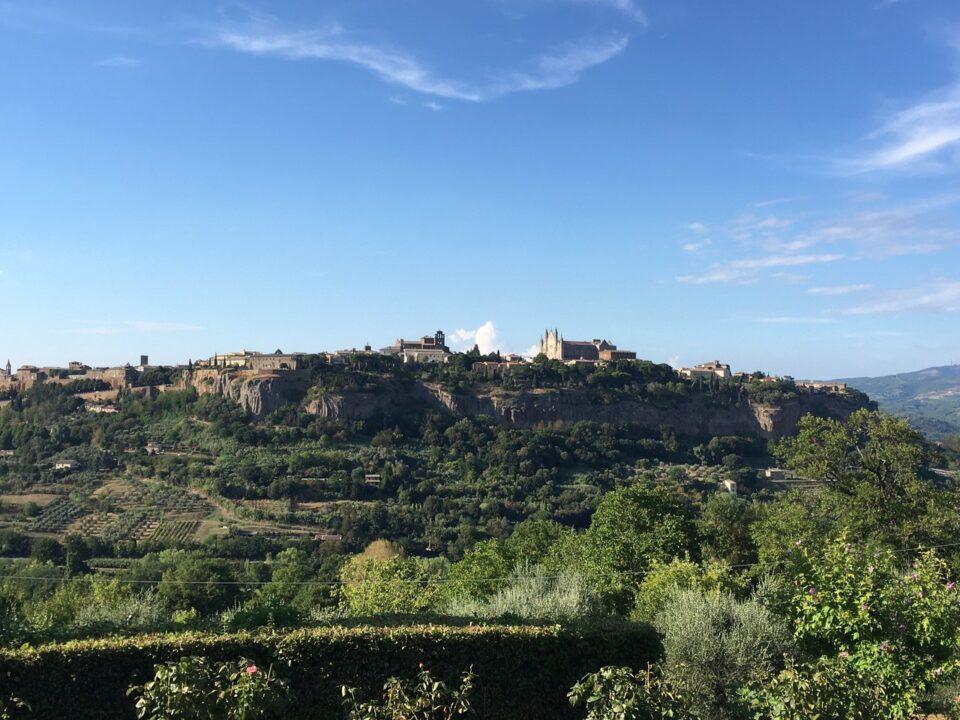Wines of the Papacy